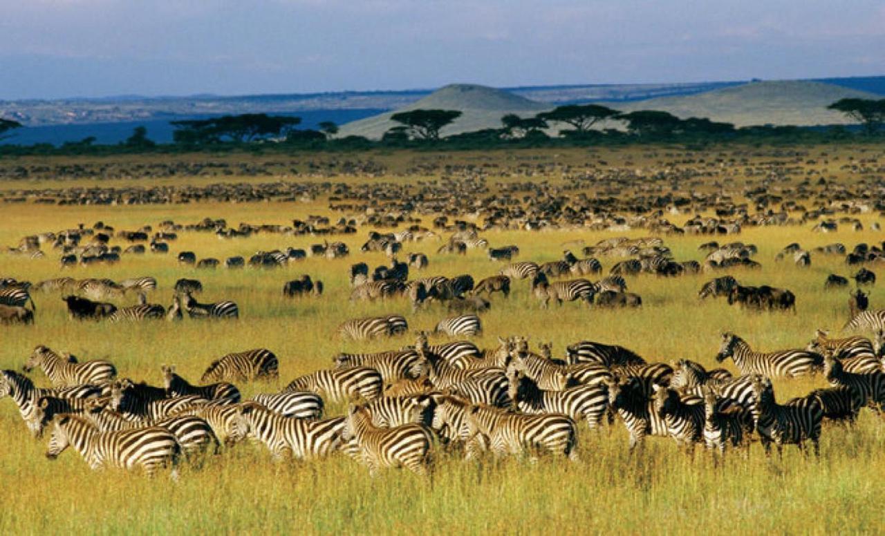 Walabi Mara Hotel Narok Экстерьер фото